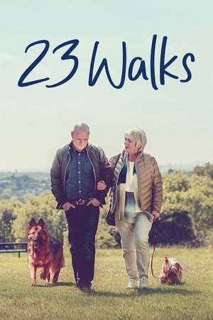 23 Walks 2020