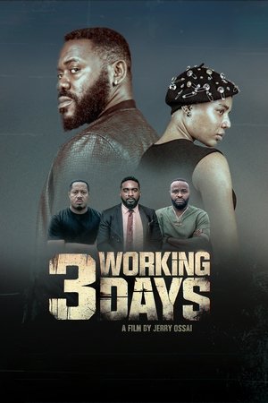 3 Working Days 2024