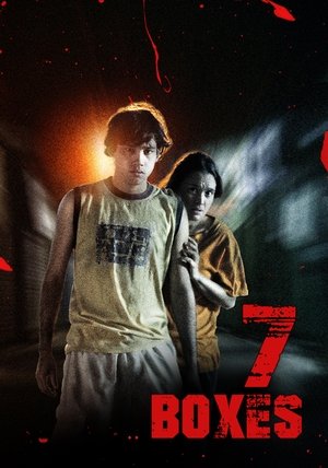 7 Boxes 2012
