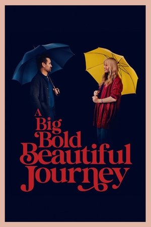 A Big Bold Beautiful Journey 2025