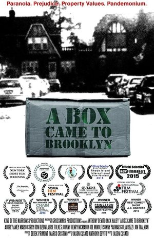 A Box Came to Brooklyn 2015