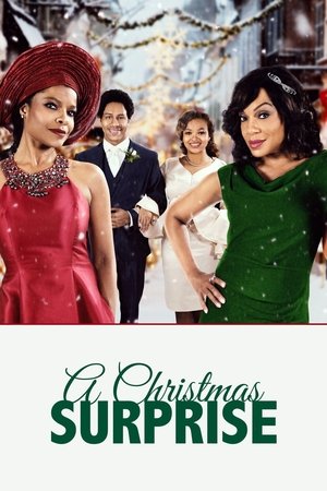A Christmas Surprise 2020