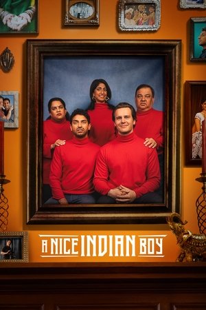 A Nice Indian Boy 2025