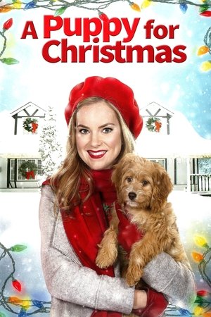 A Puppy for Christmas 2016