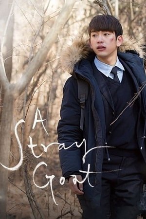 A Stray Goat 2017