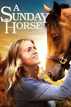 A Sunday Horse 2016