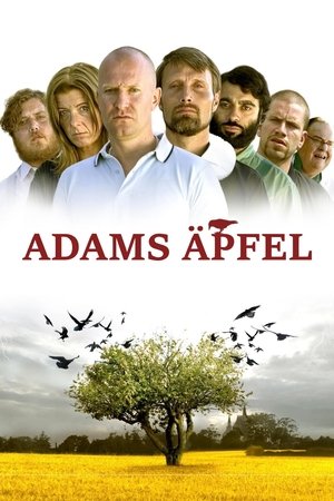 Adam's Apples 2005
