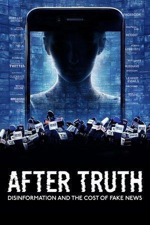 After Truth: Disinformation and the Cost of Fake News 2020