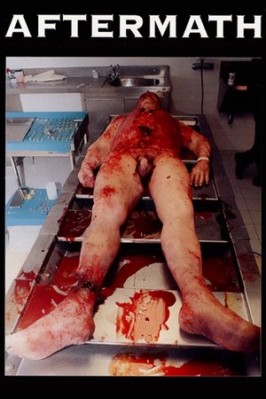Aftermath 1994