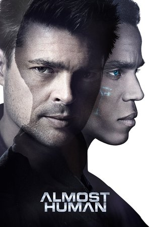 Almost Human 2013