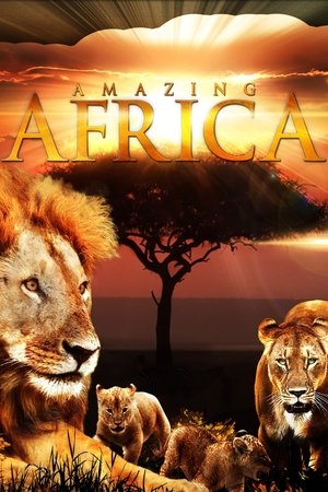 Amazing Africa 2012