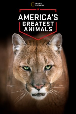 America's Greatest Animals 2012