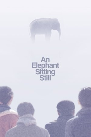 An Elephant Sitting Still 2018