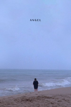 Angel 2019