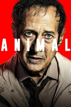 Animal 2019
