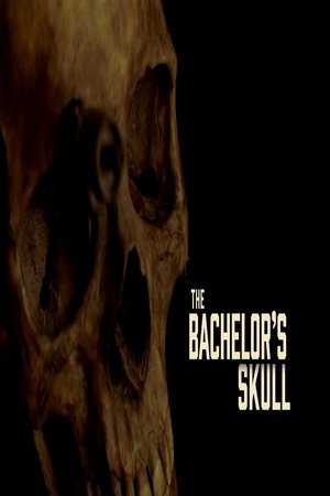 Bachelors 2016