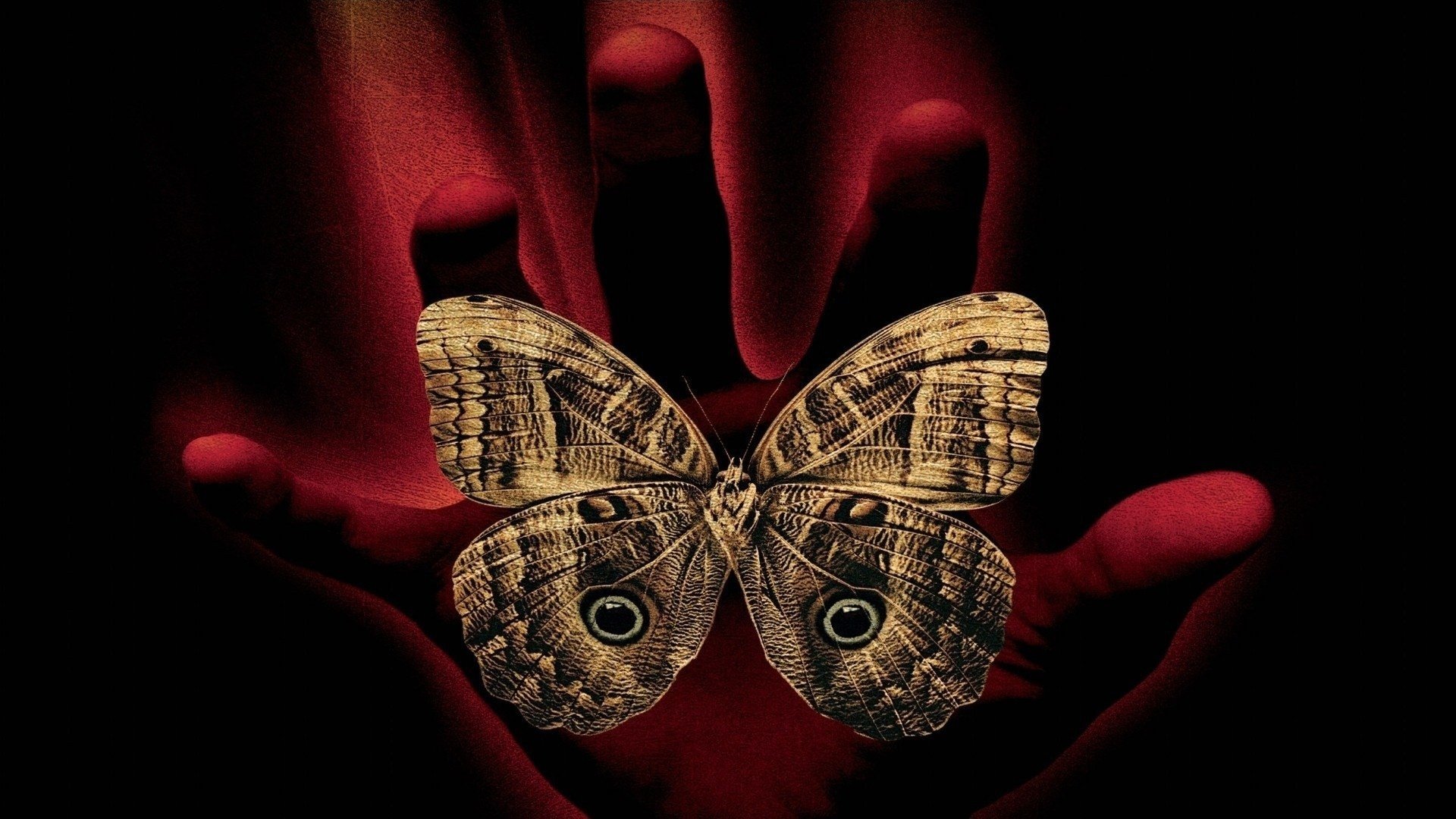 Click to play poster