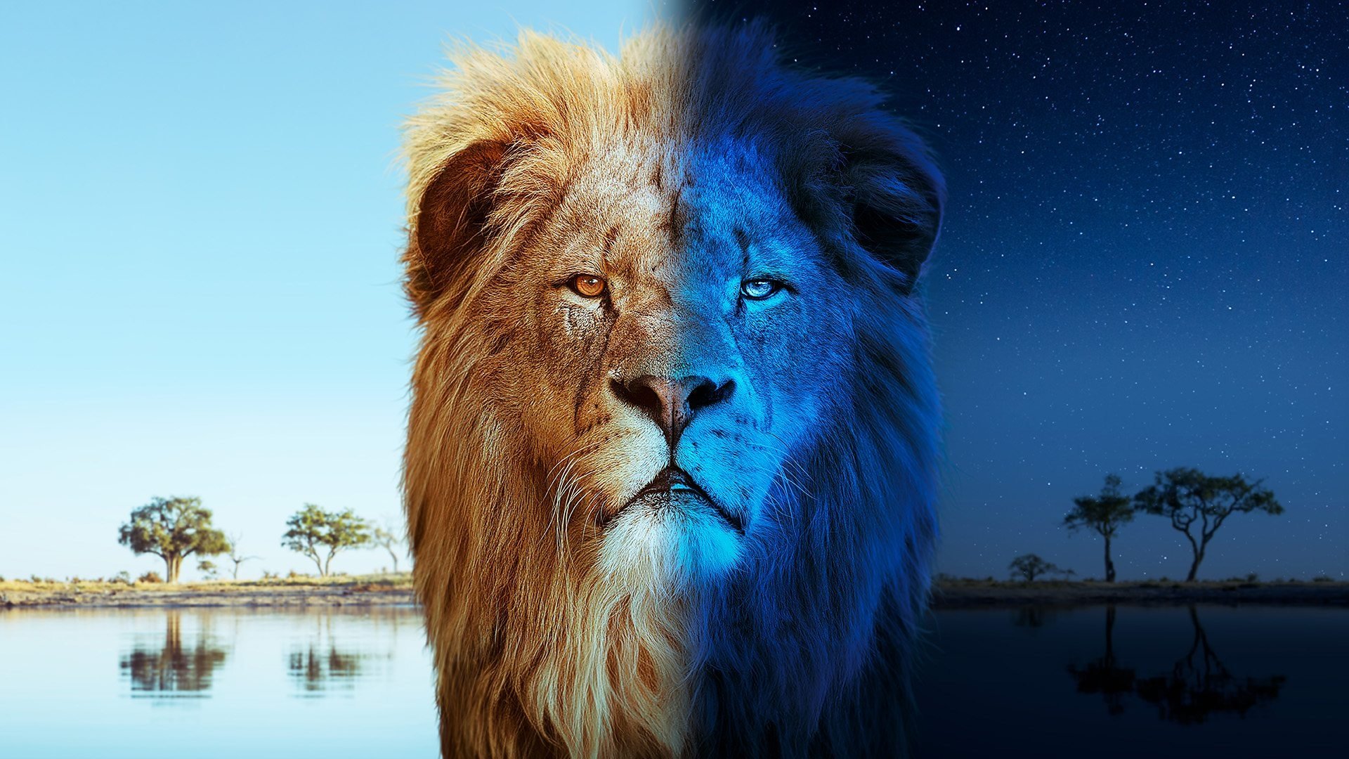 Click to play poster