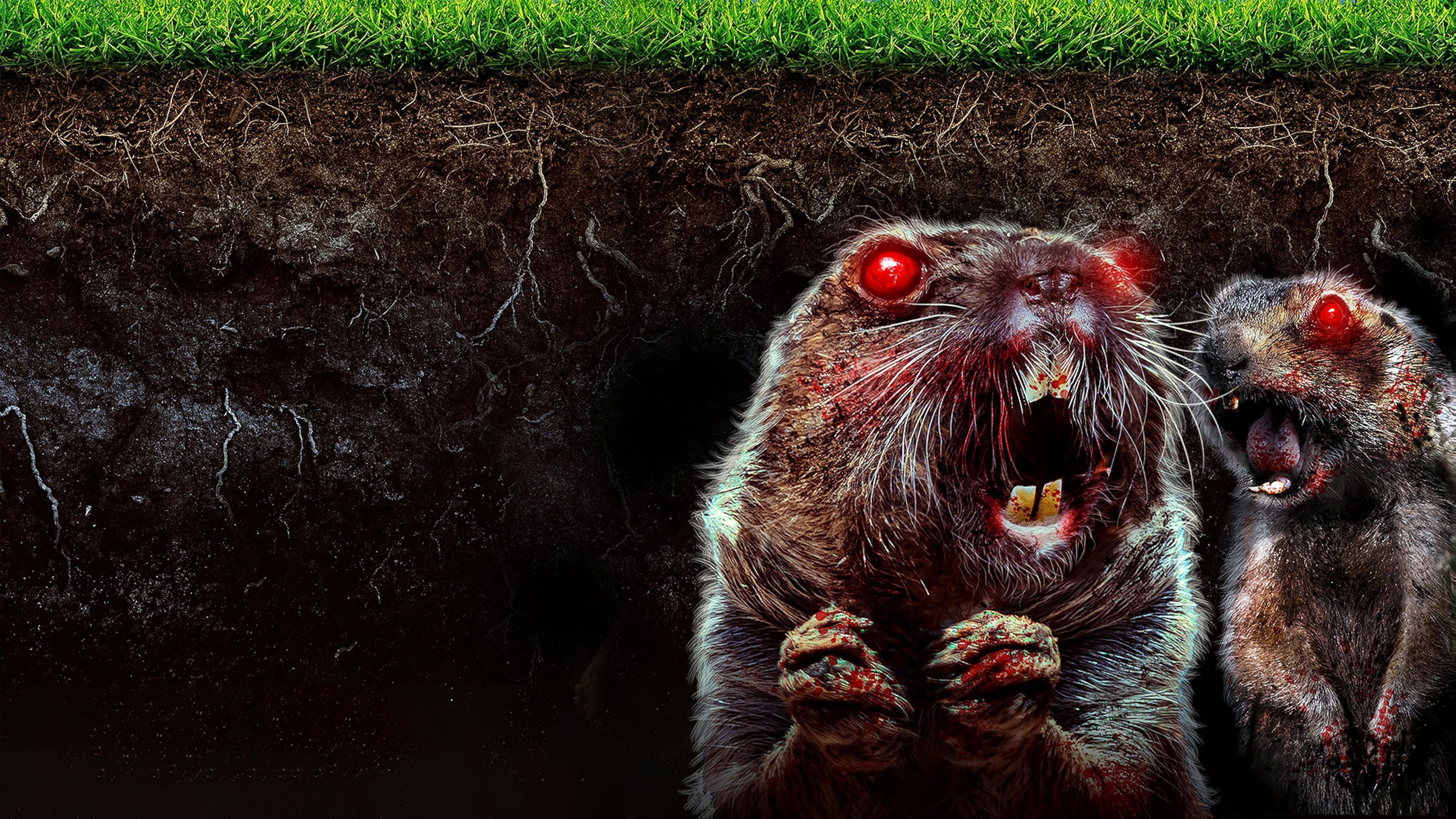 Click to play poster