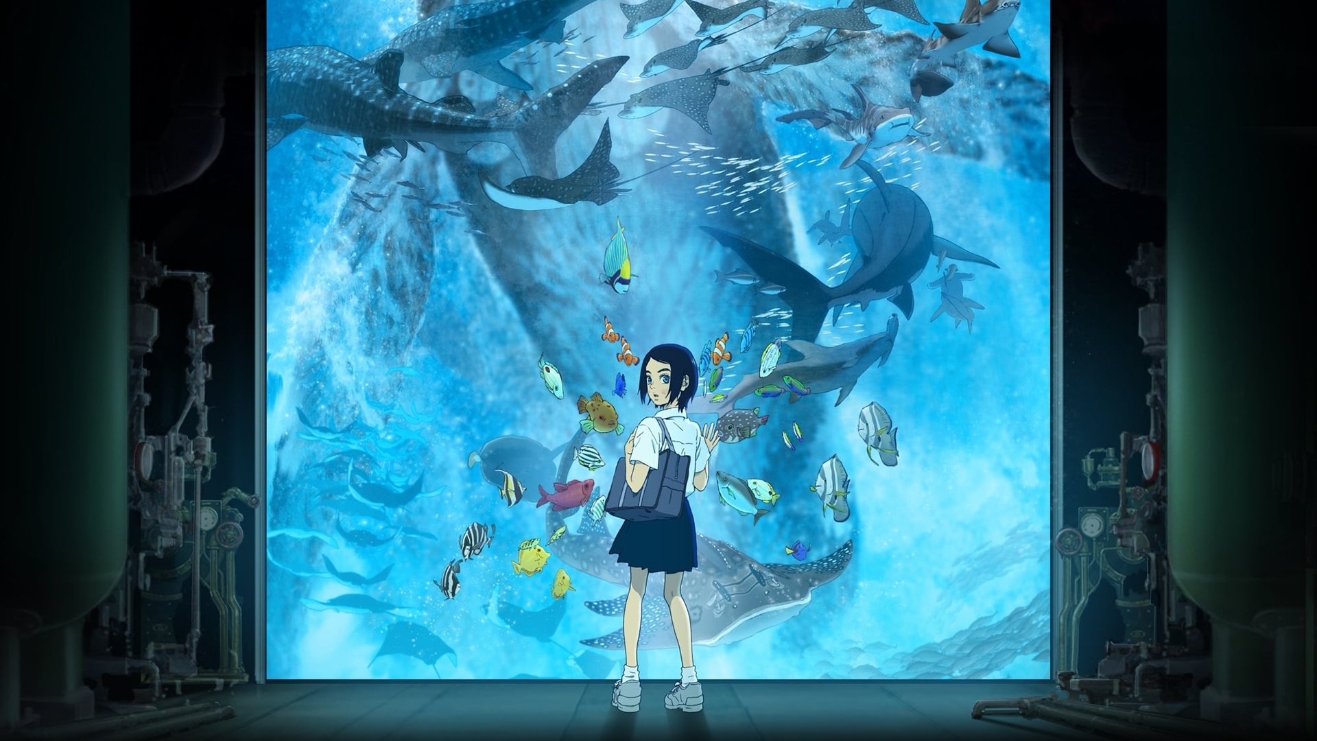 Click to play poster
