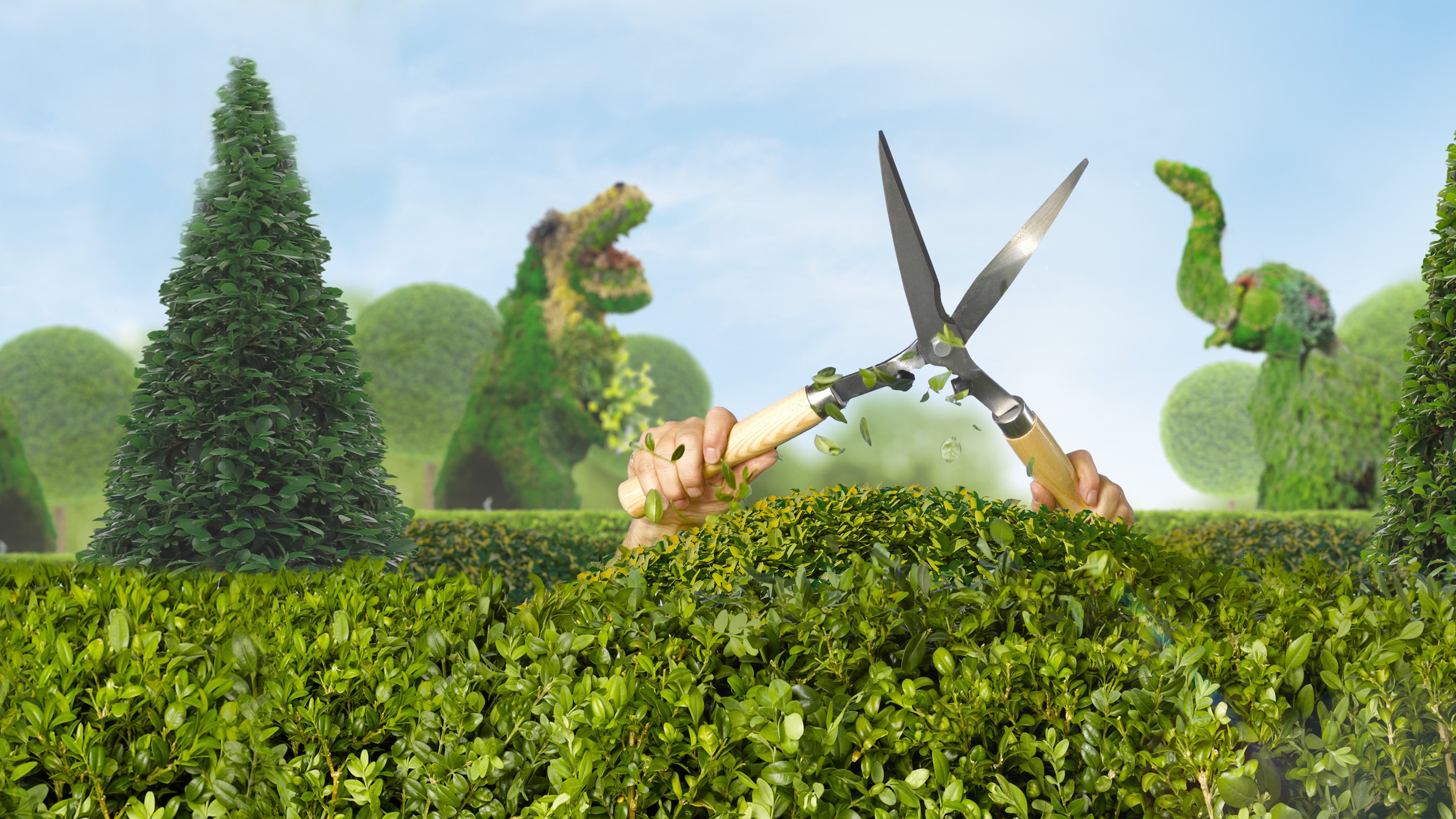 Click to play poster