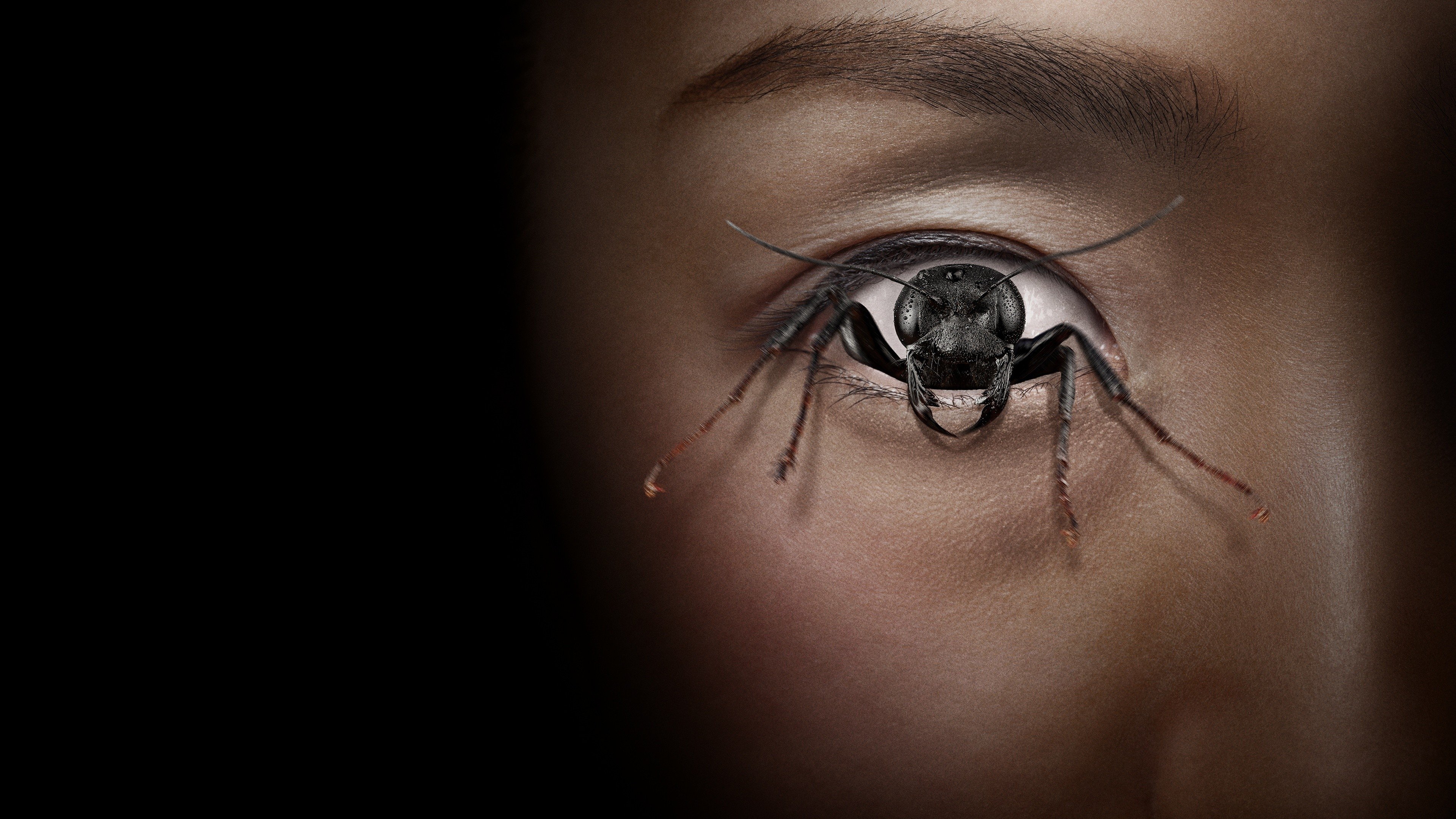Click to play poster