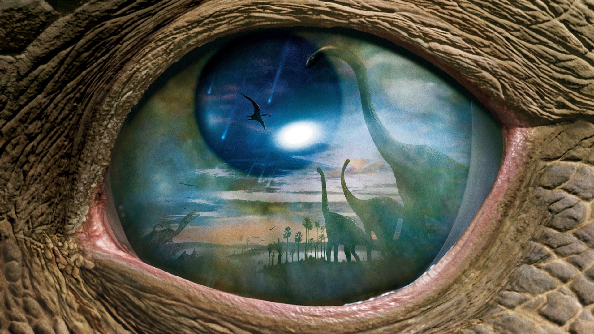 Click to play poster
