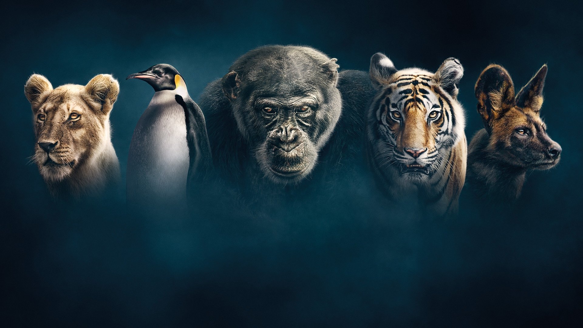Click to play poster