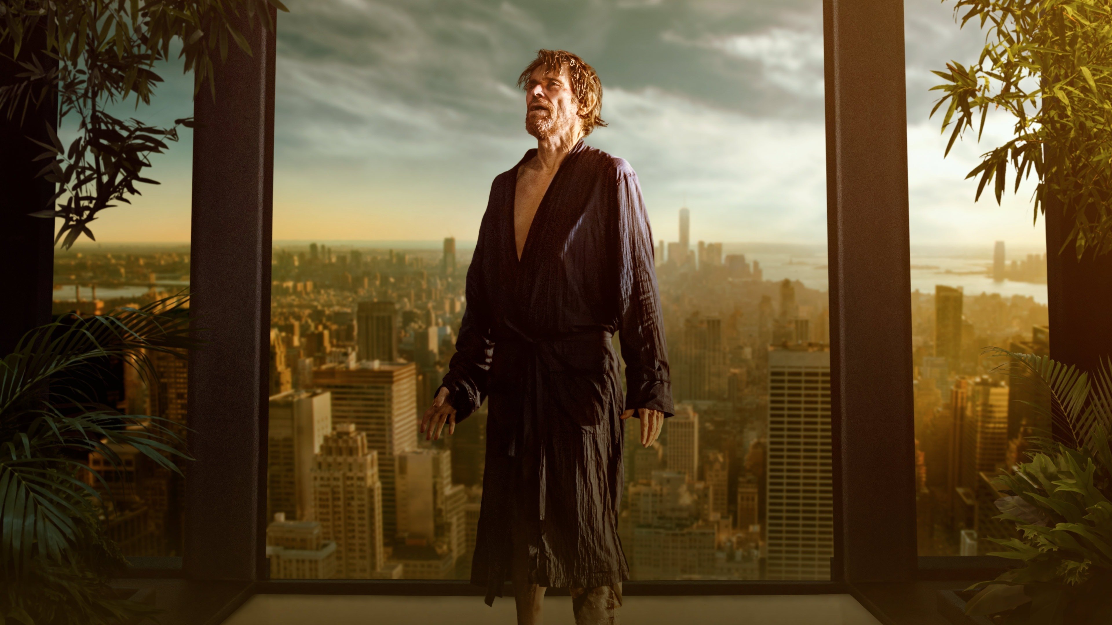 Click to play poster