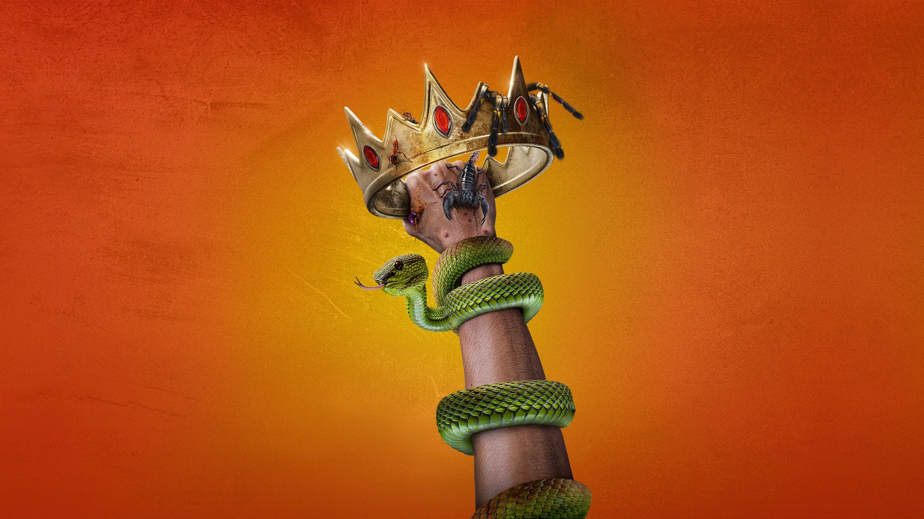 Click to play poster