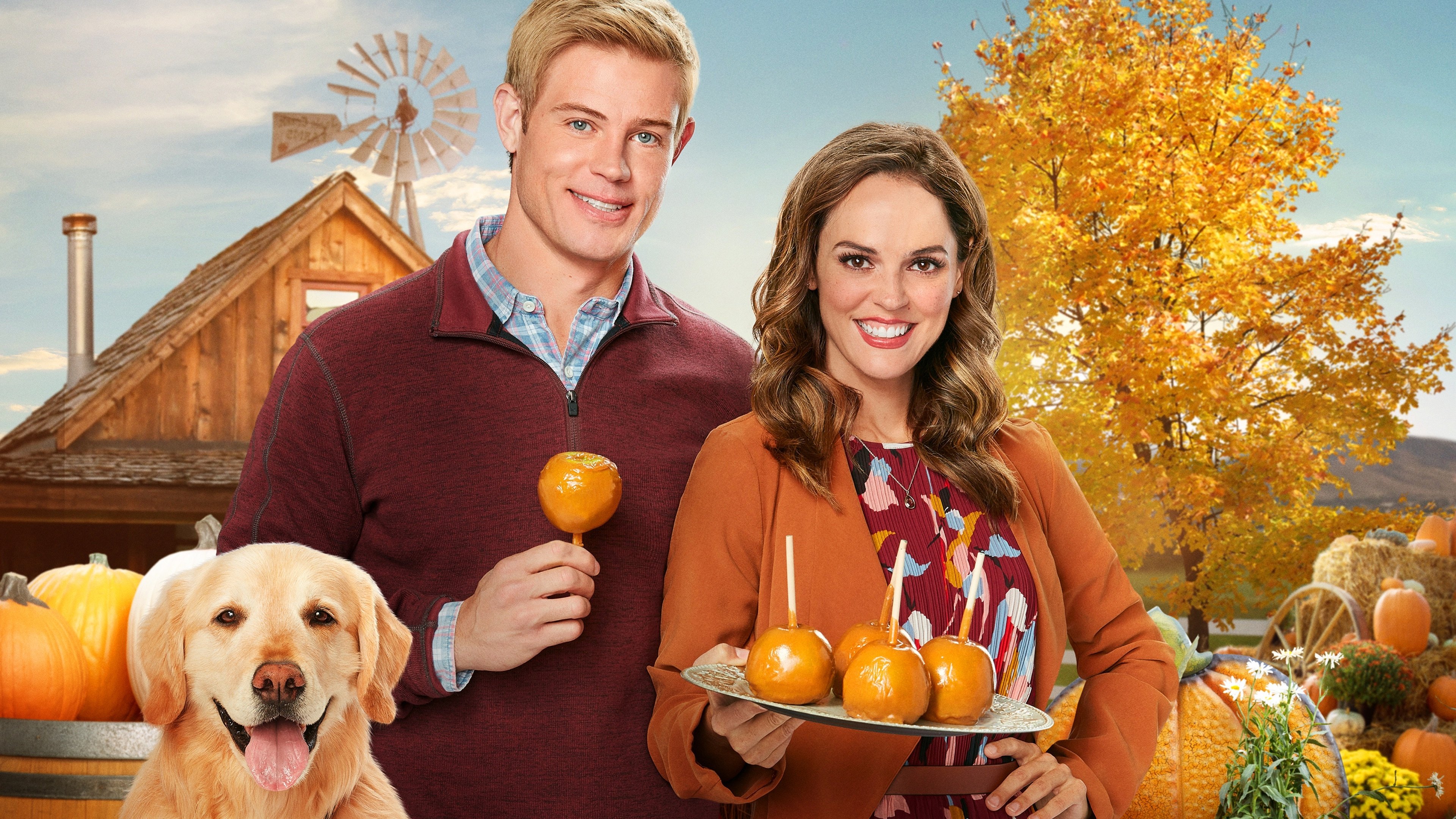 Click to play poster
