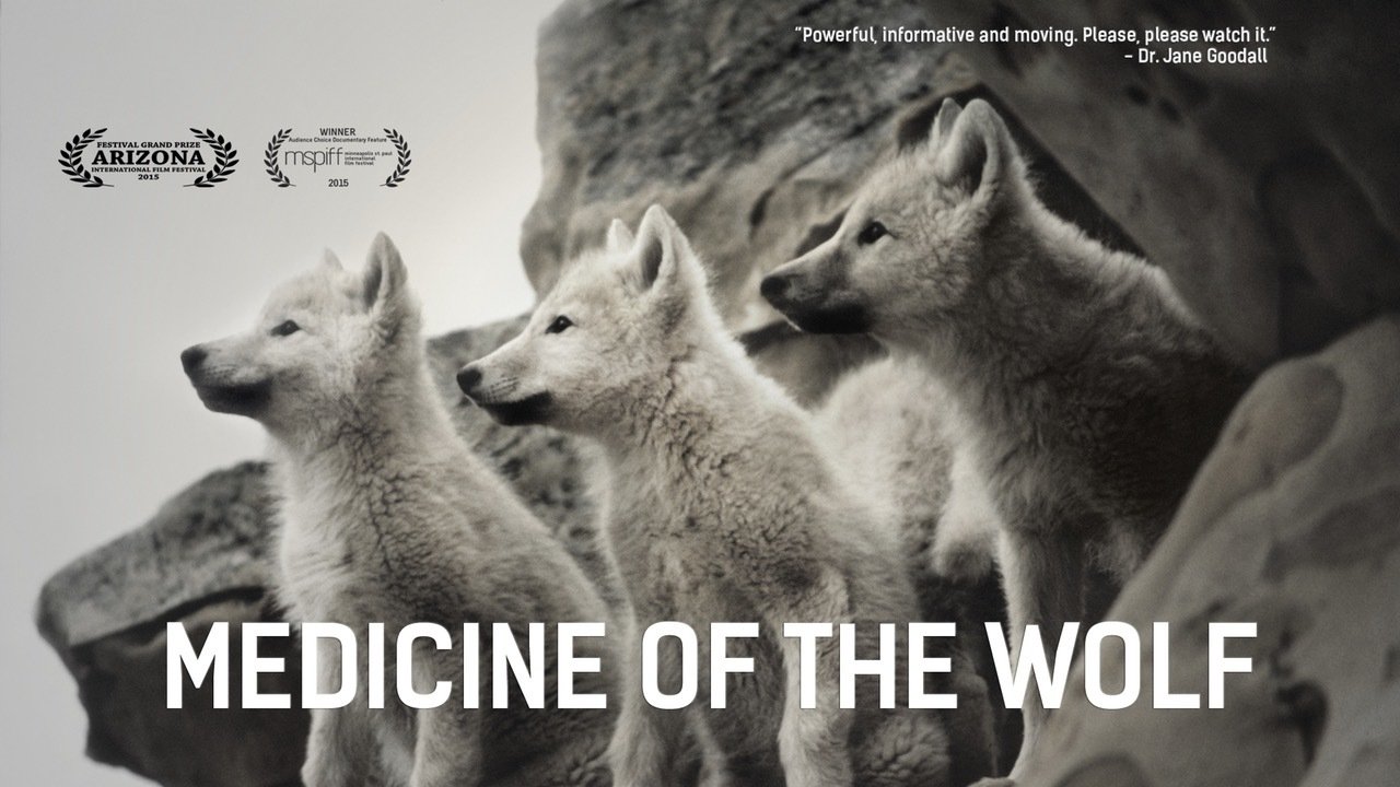 Click to play poster