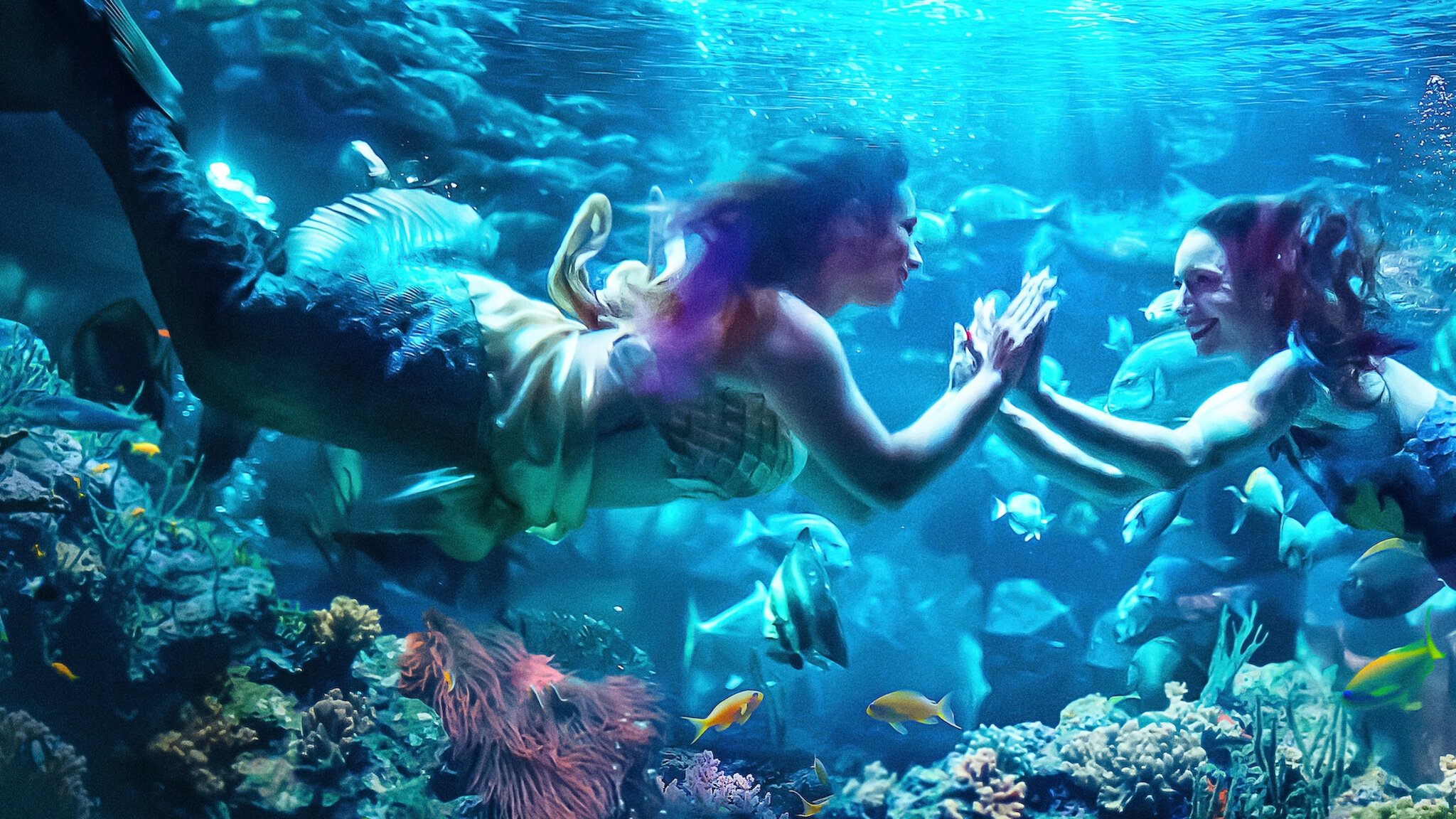 Click to play poster
