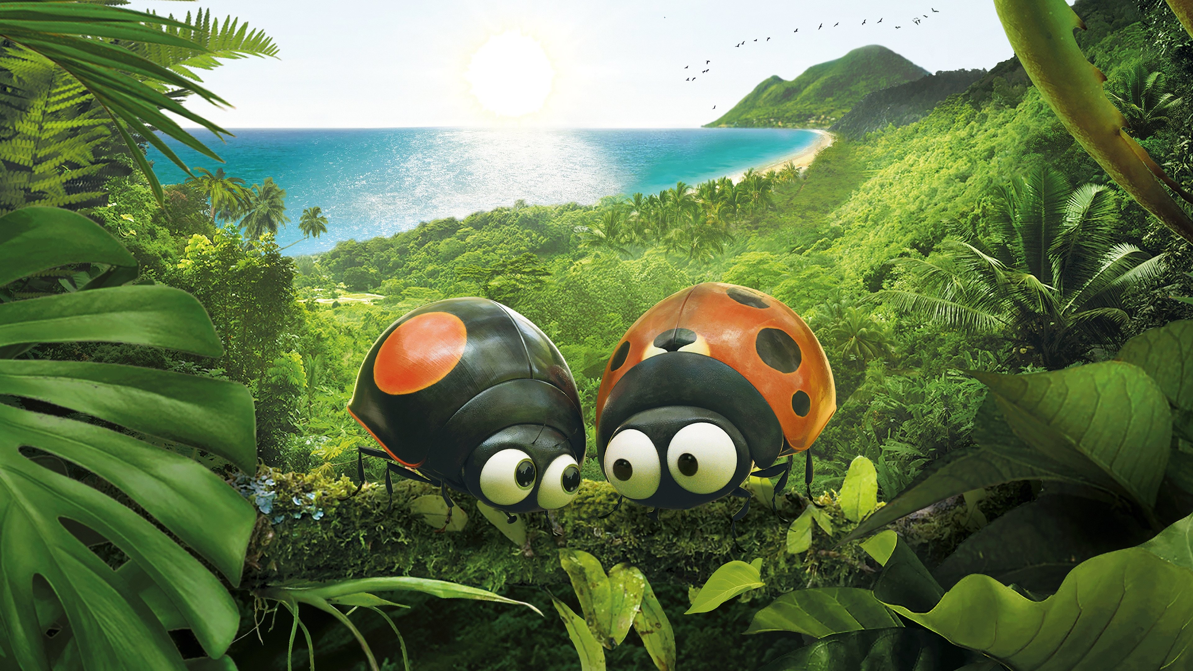 Click to play poster