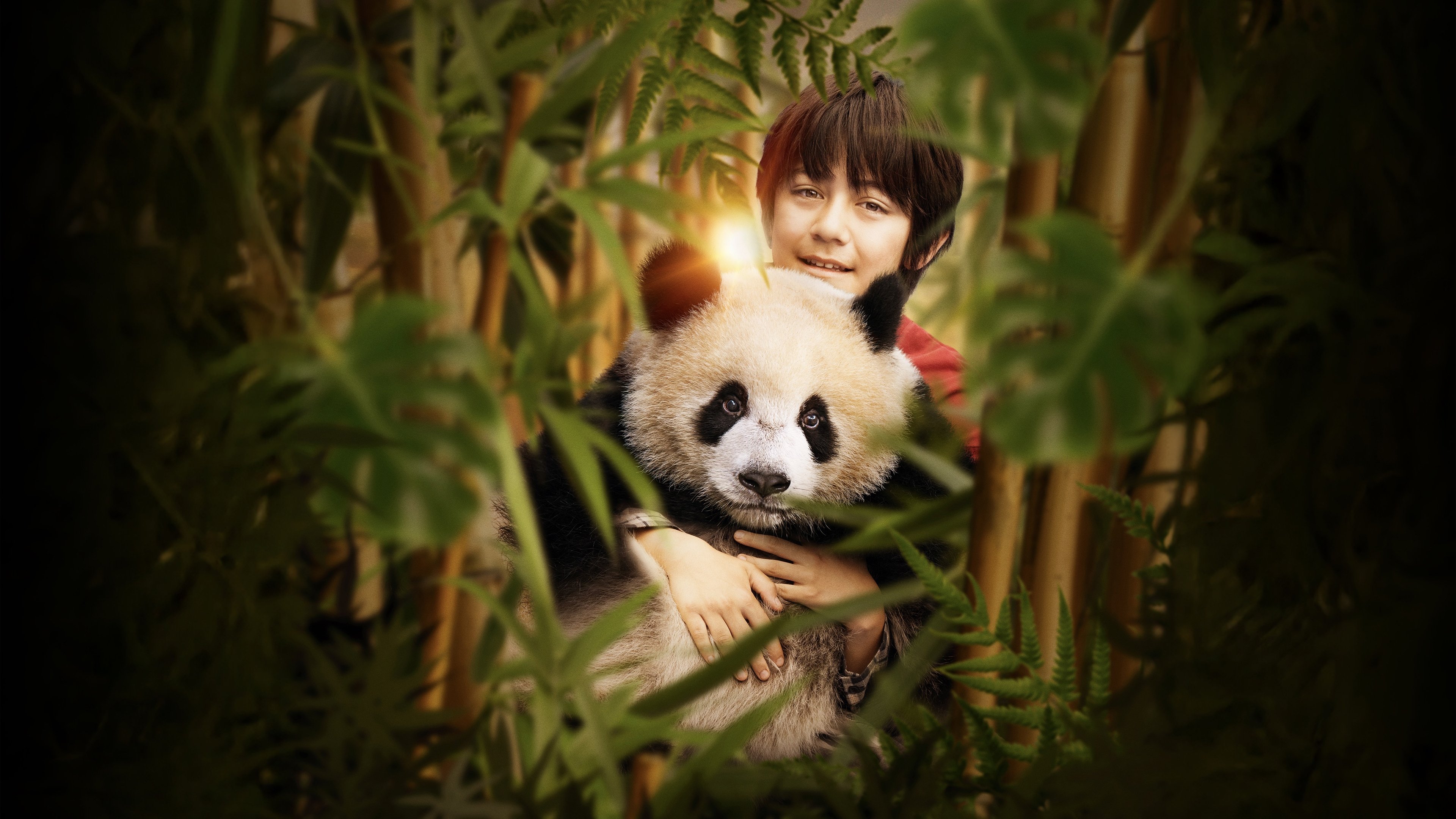 Click to play poster