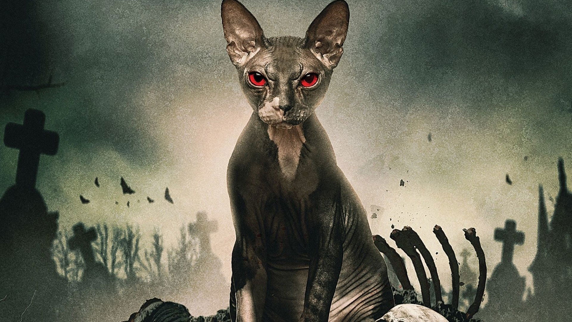 Click to play poster