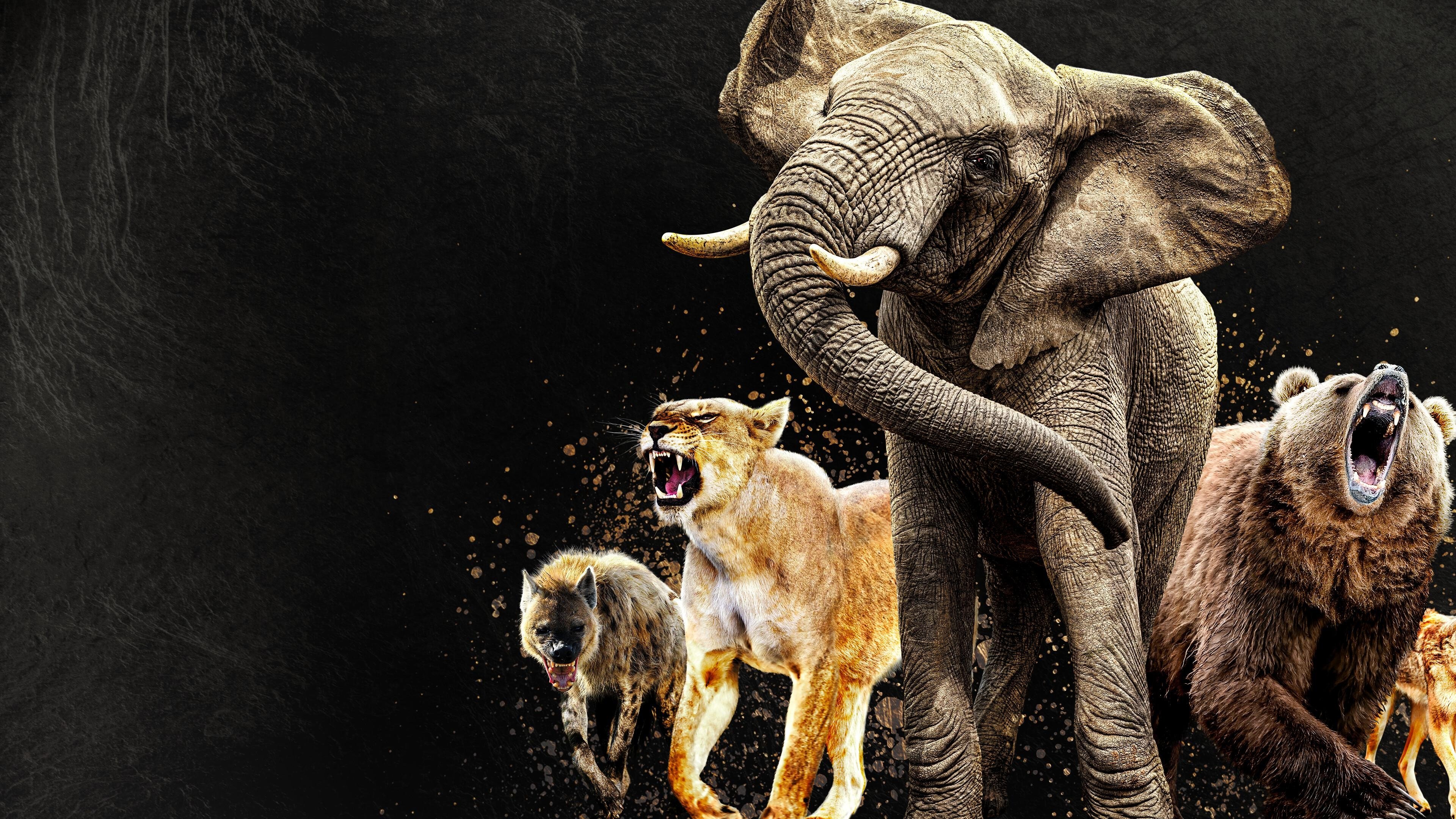 Click to play poster
