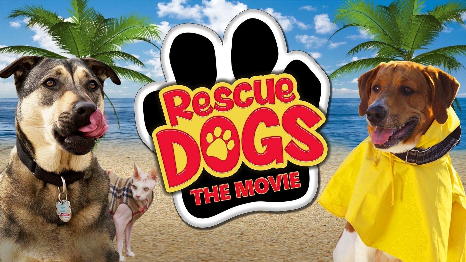 Click to play poster