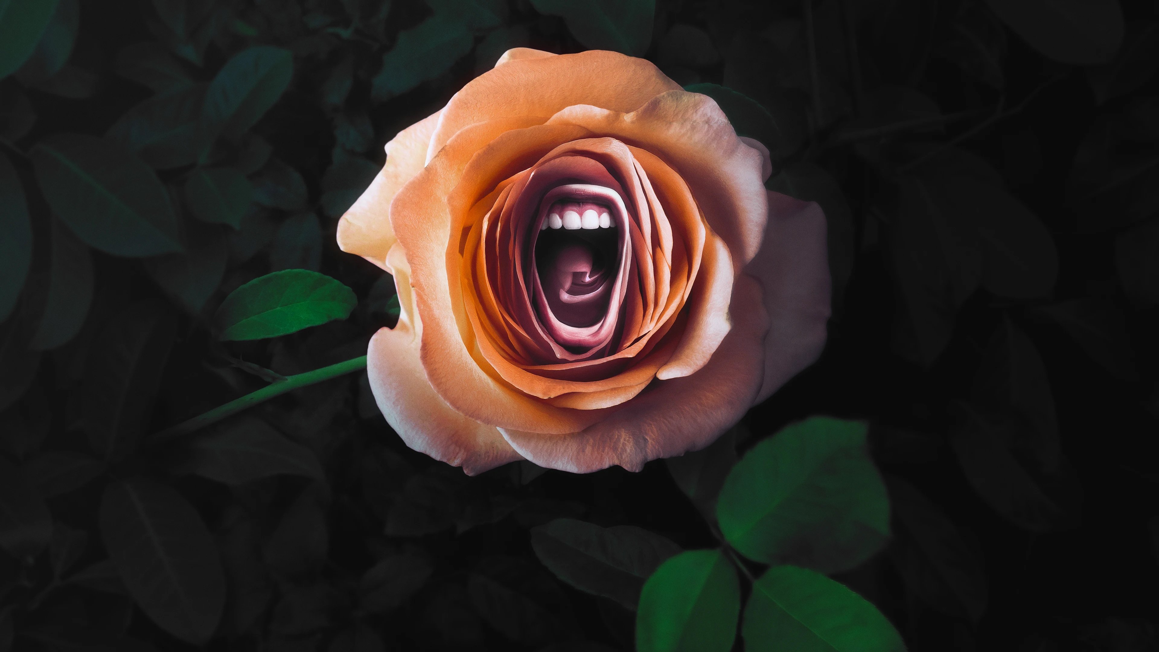 Click to play poster