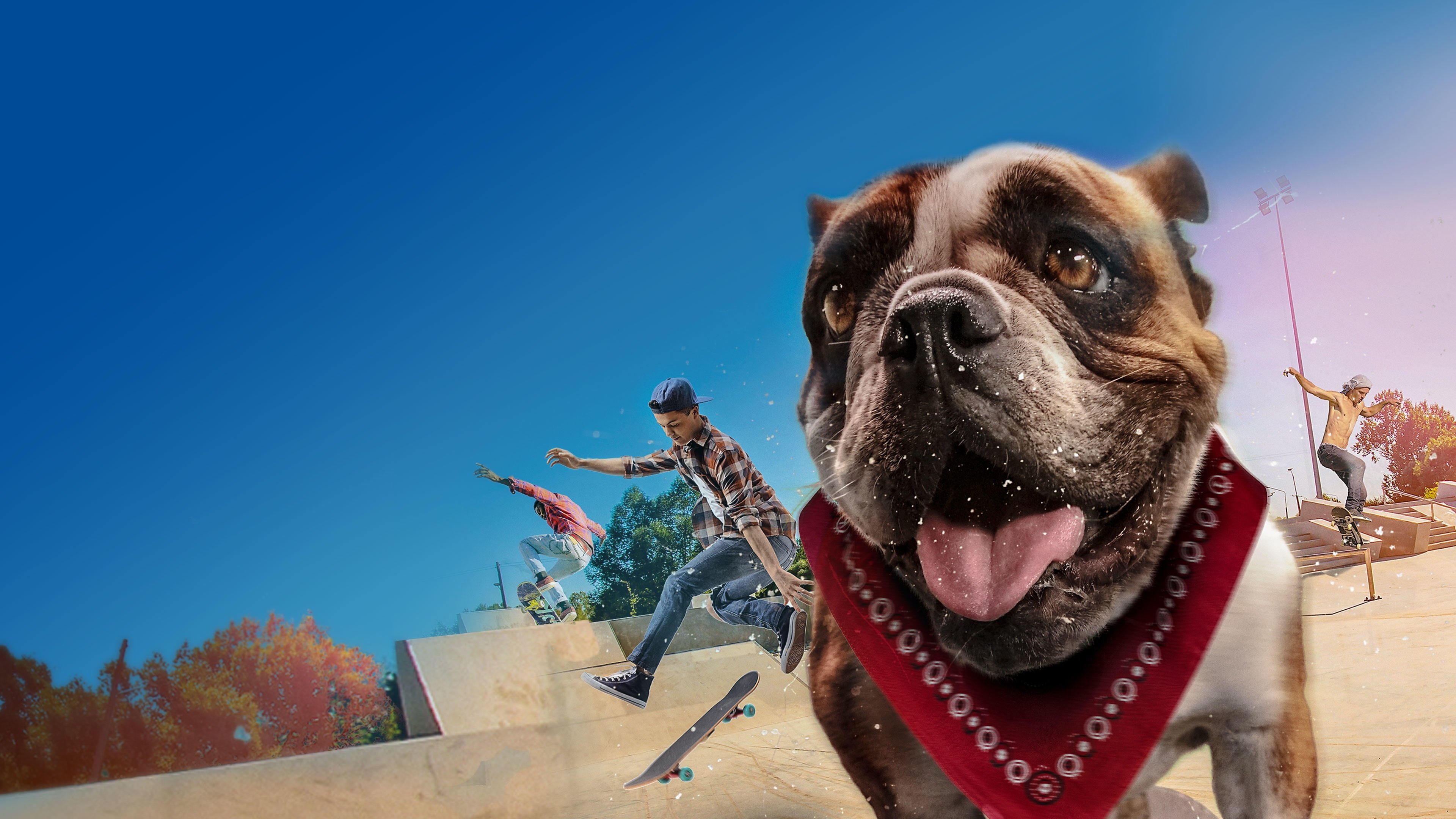 Click to play poster