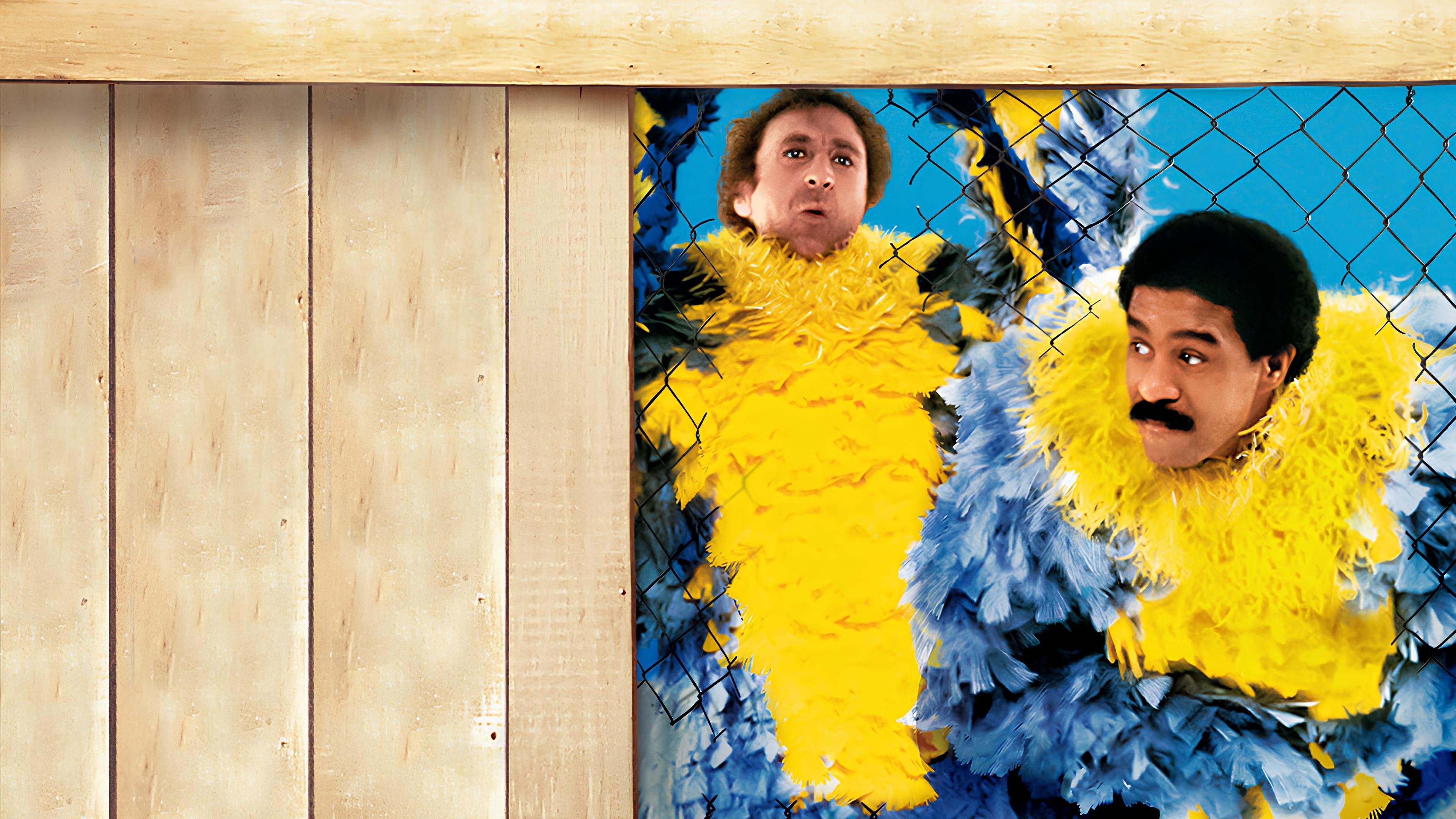Click to play poster