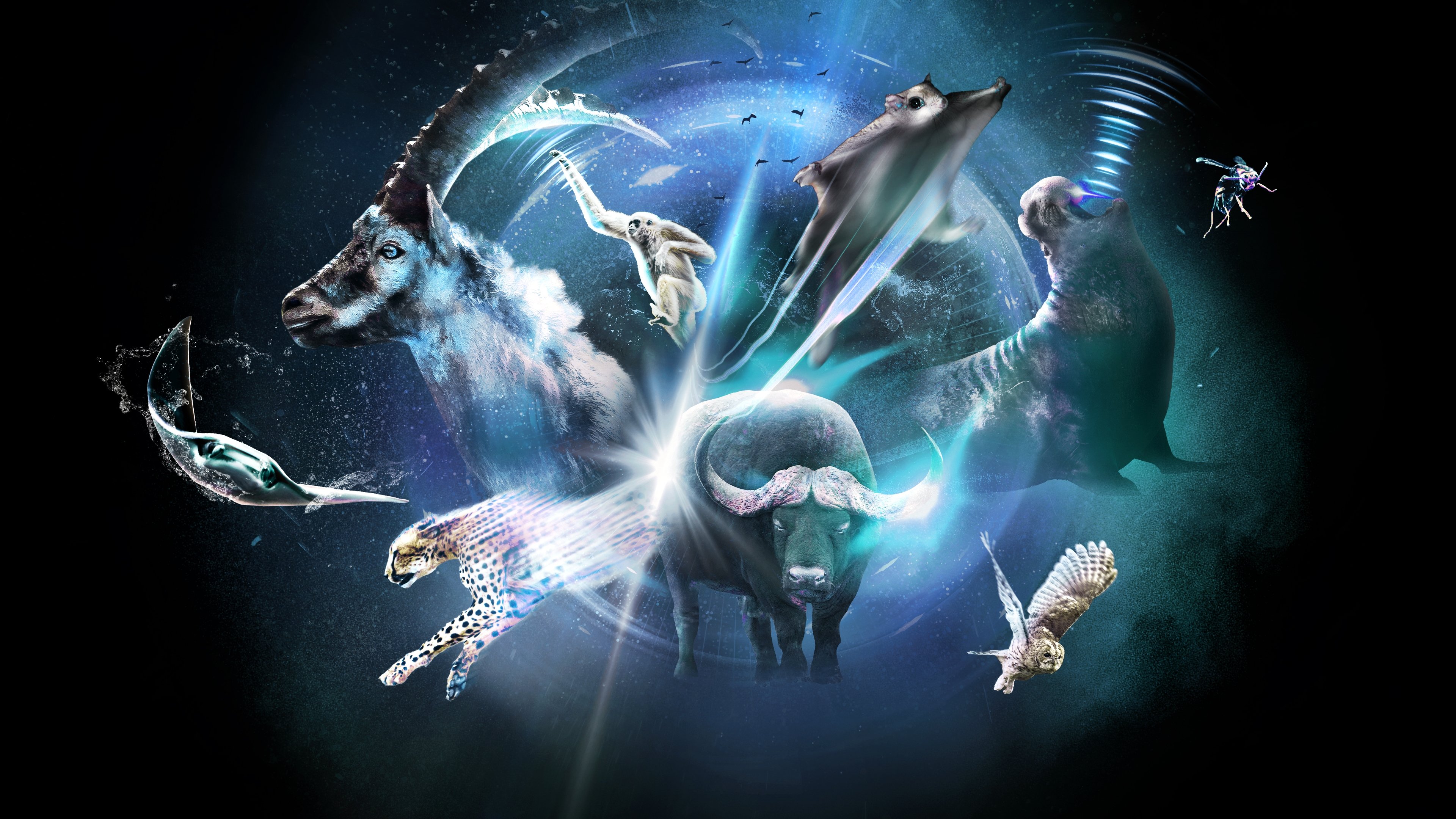 Click to play poster