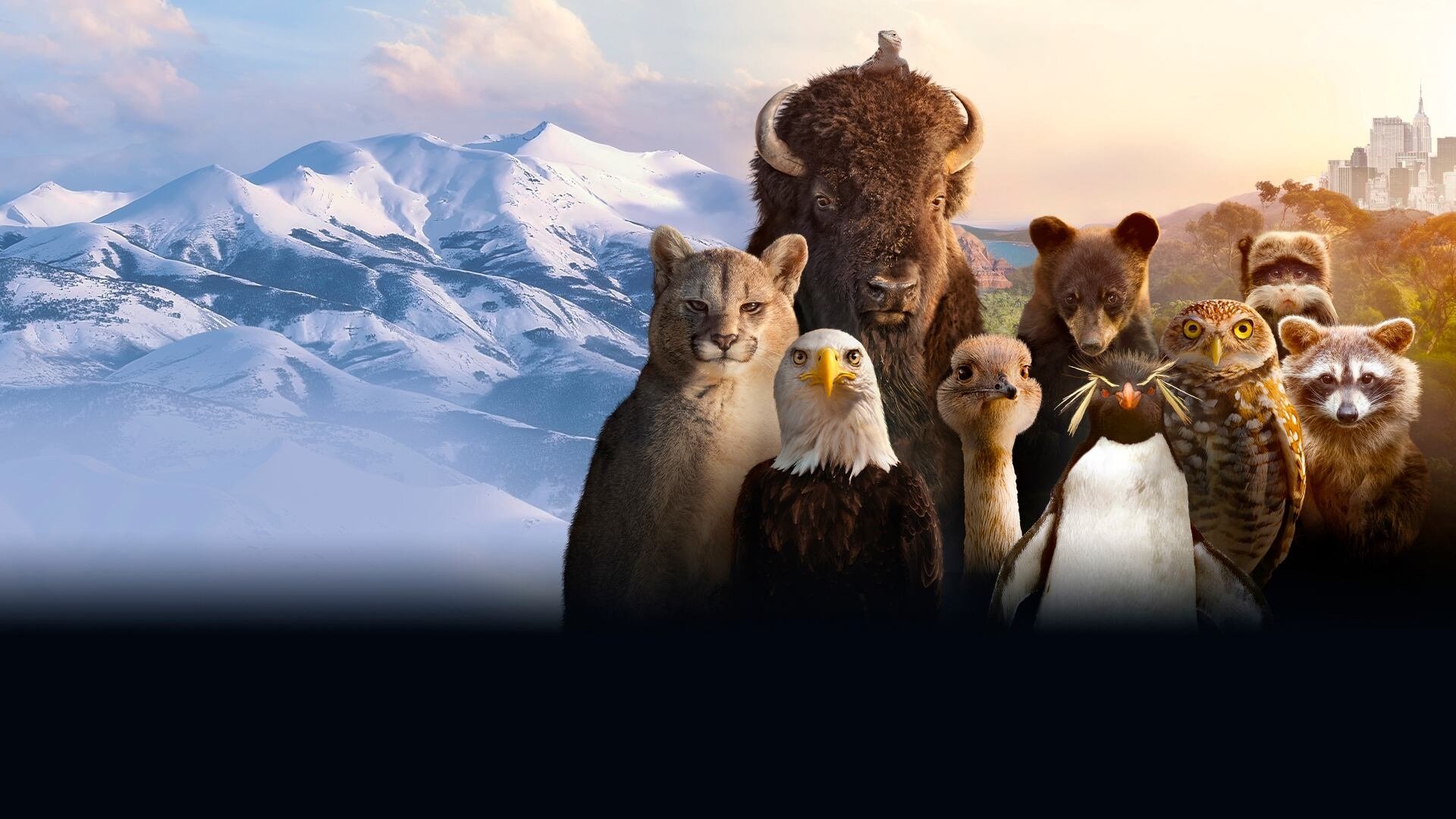 Click to play poster