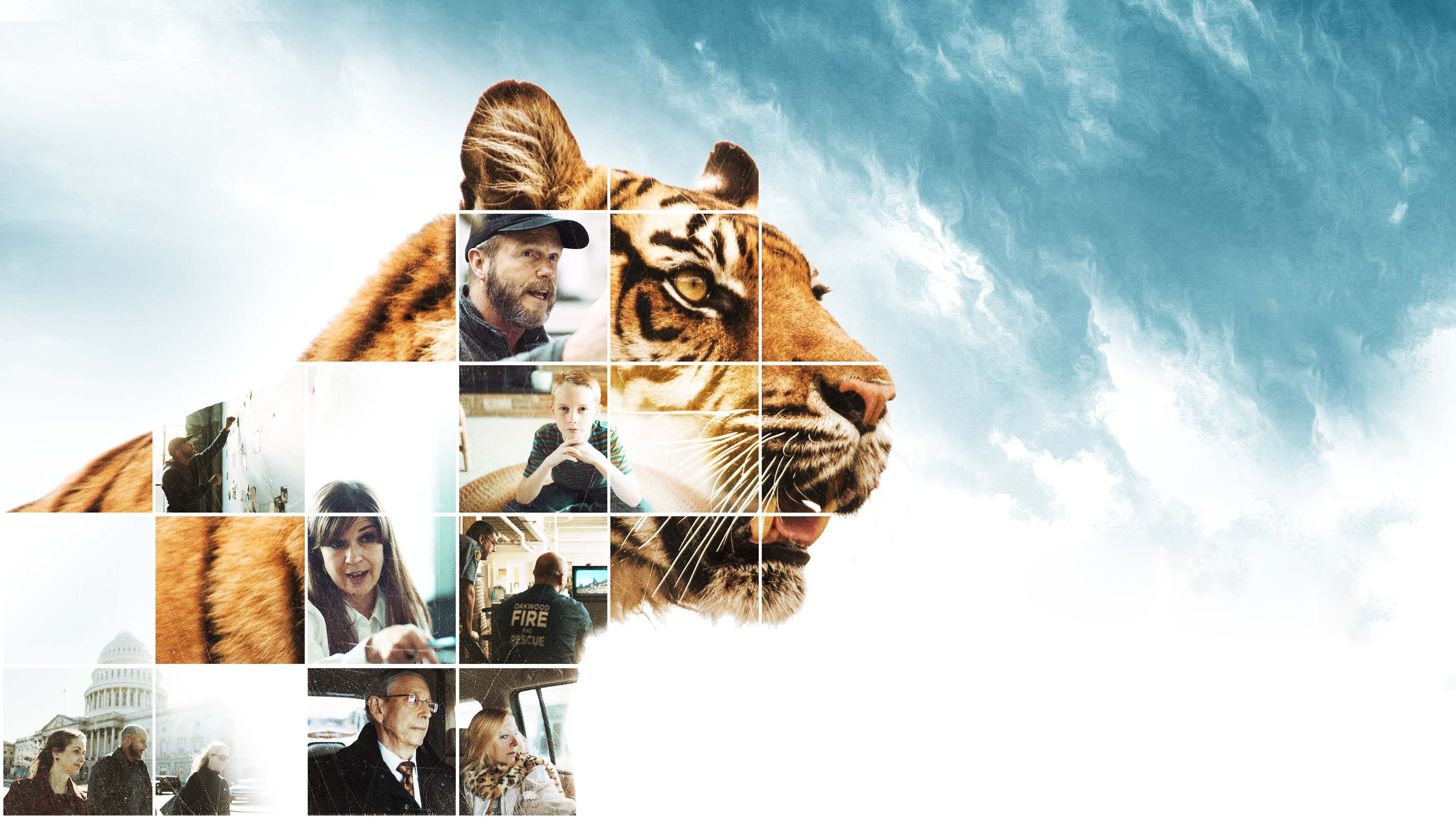 Click to play poster
