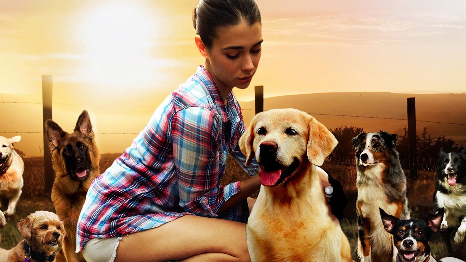 Click to play poster