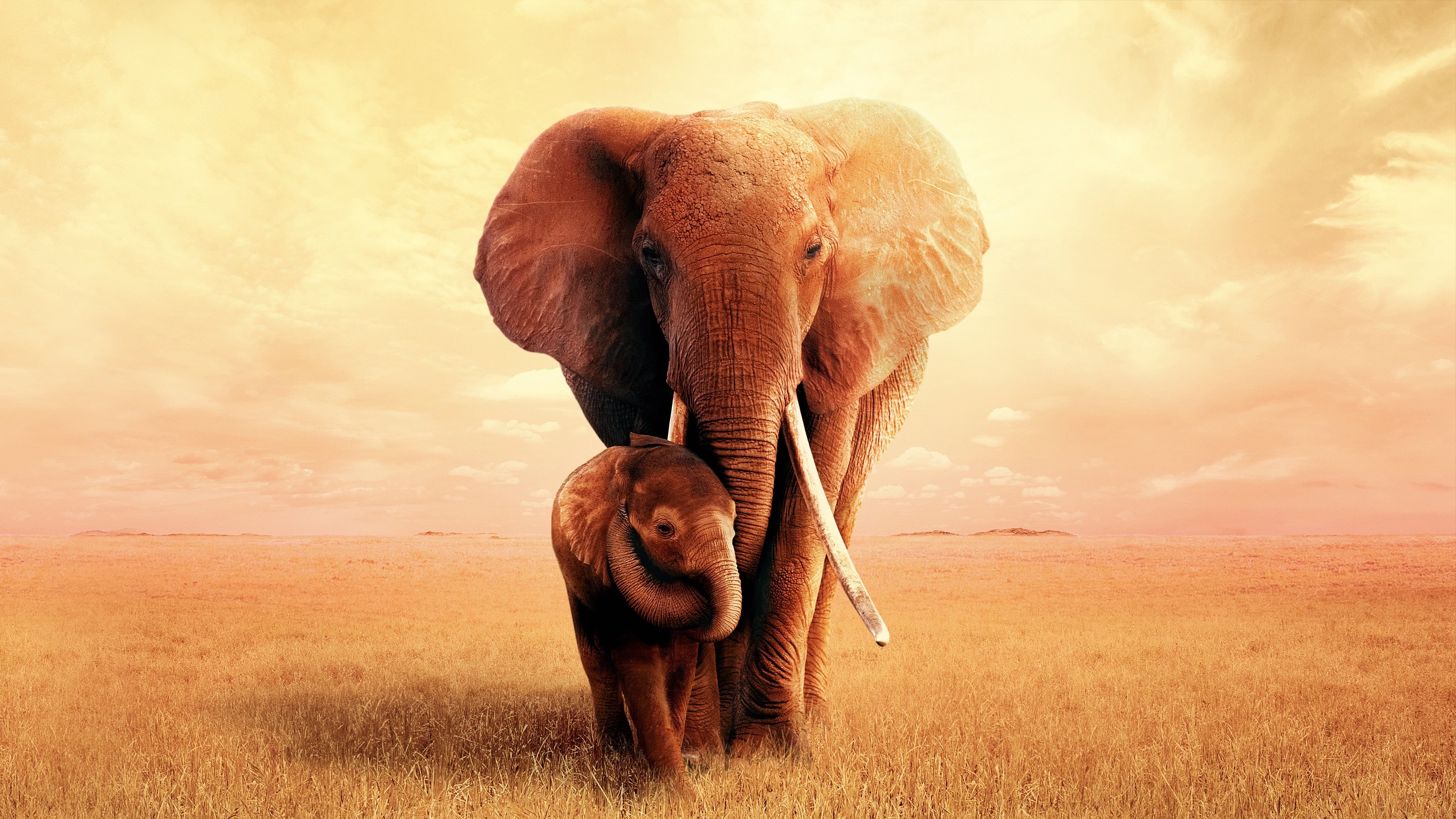 Click to play poster