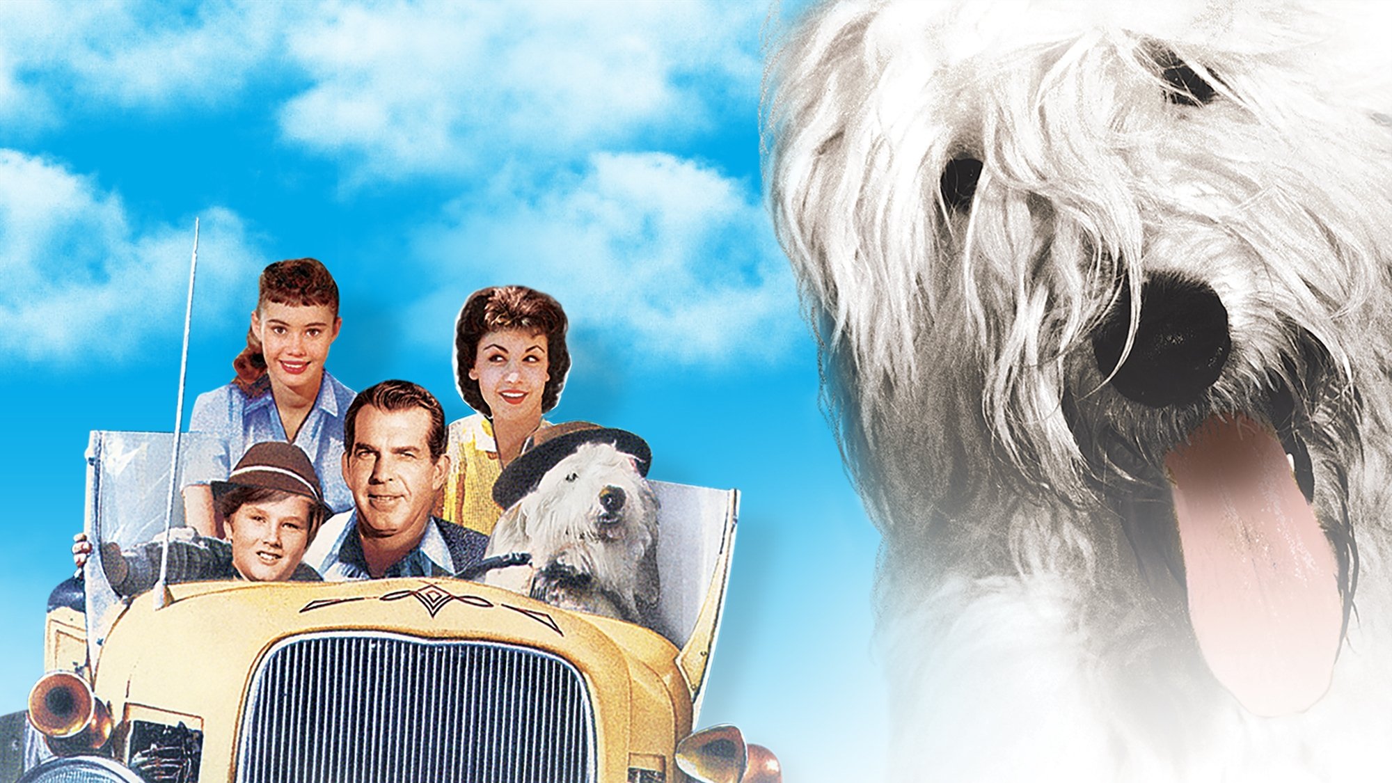 Click to play poster