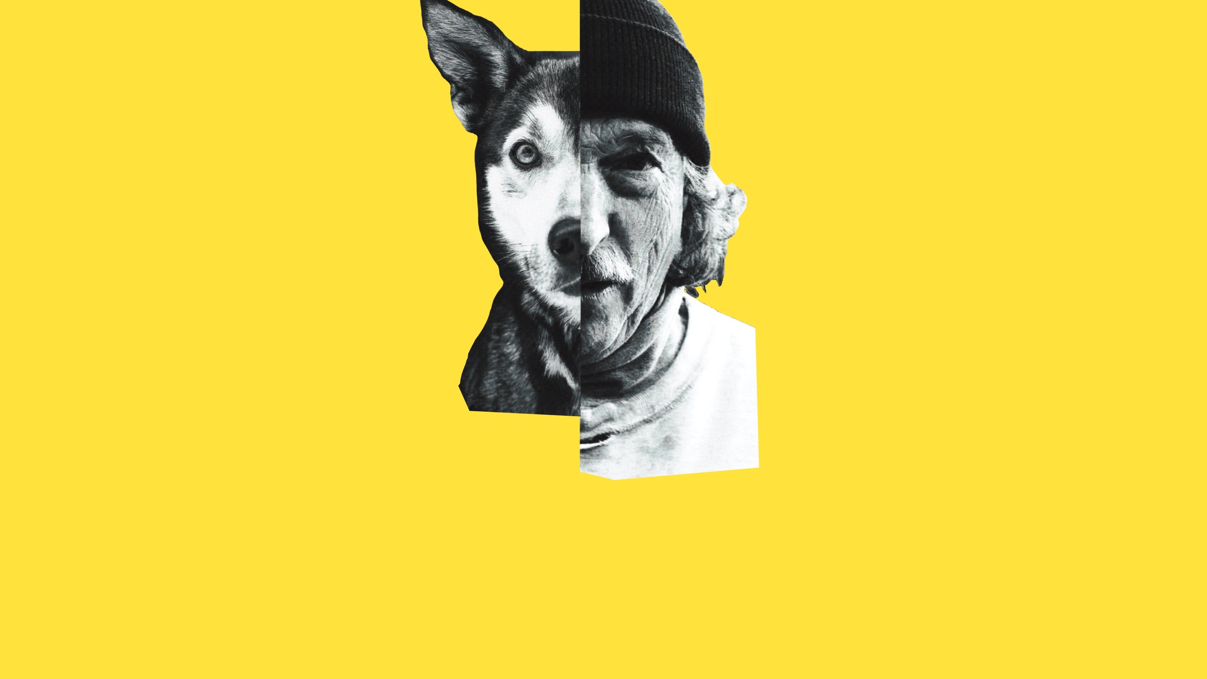 Click to play poster