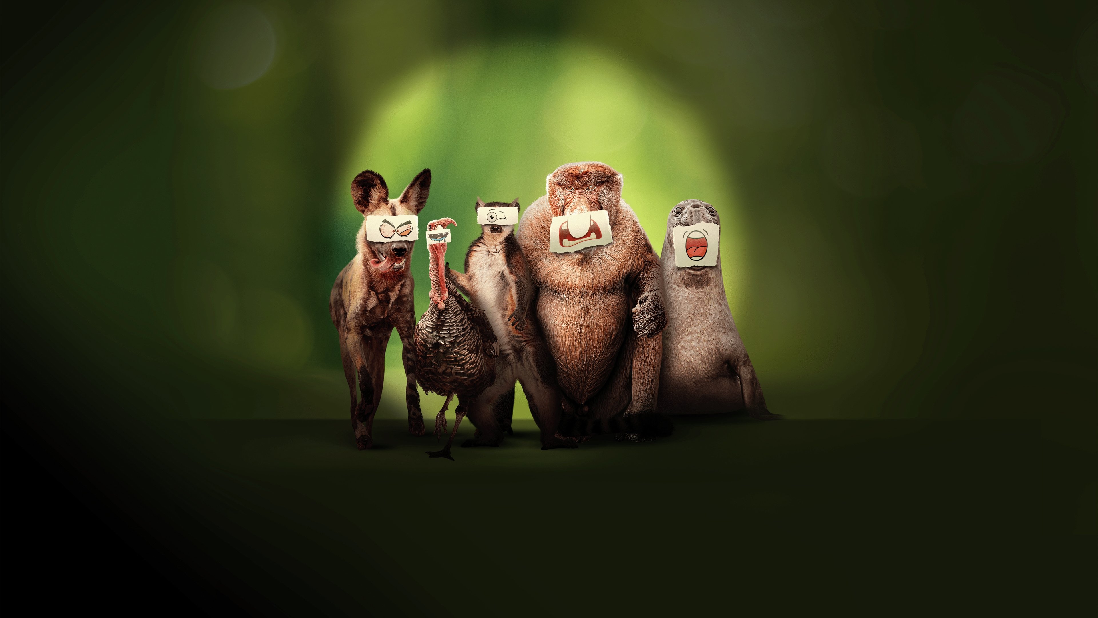 Click to play poster