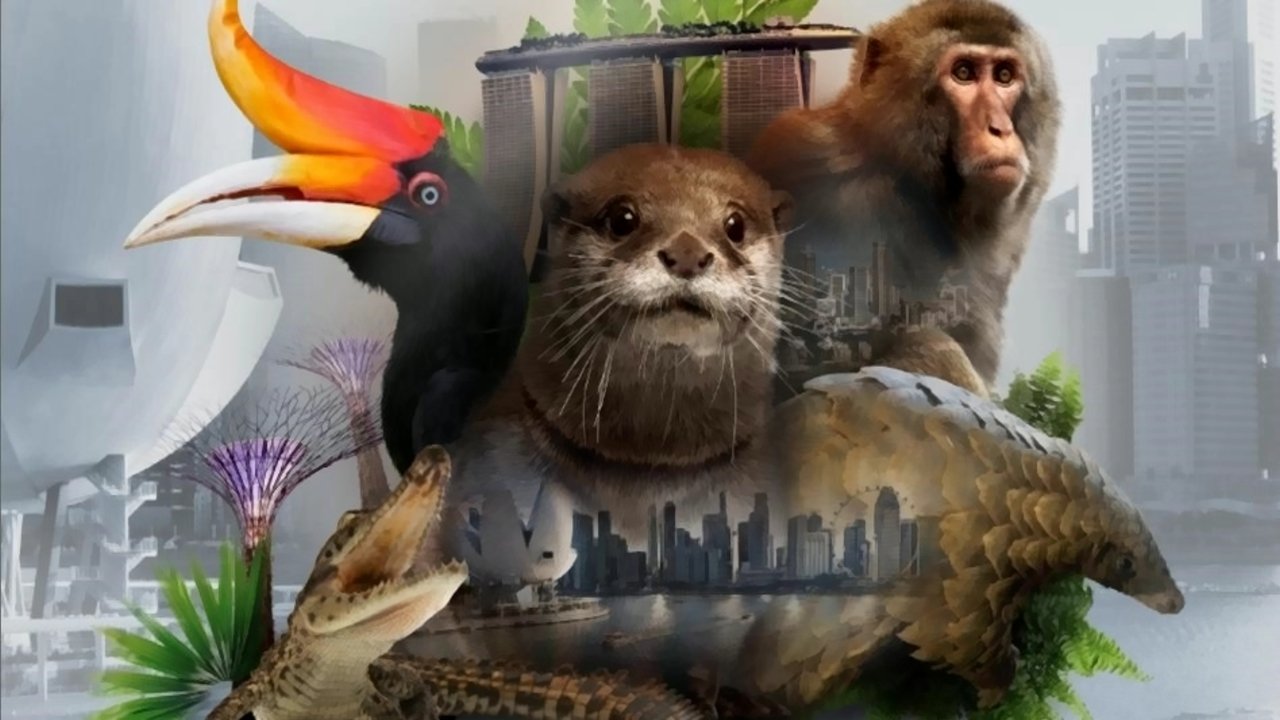Click to play poster